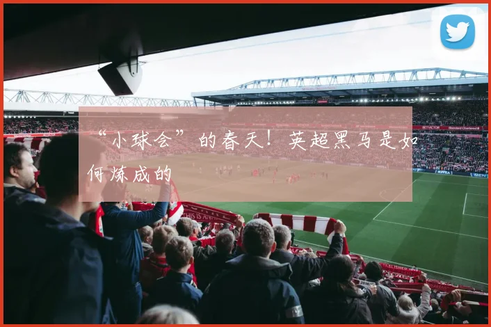 “小球会”的春天！英超黑马是如何炼成的